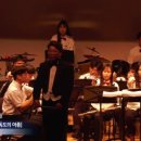 윈드오케스트라 독도콘서트 네이버블로그