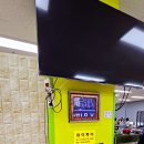 골드핑퐁