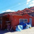 덕화농장 이미지