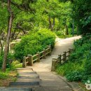 조선예가 이미지