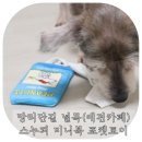널독(NERDOG) 이미지