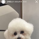 또드림 이미지