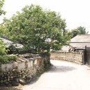 요천다슬기마을 이미지