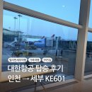 KE-환경 | 대한항공 인천 -> 세부 KE601 탑승 후기 기내식 아동식