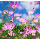 추계약국 이미지