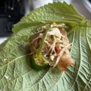 냉삼제주집 | 청담동 고기집 영동교집, 제주 흑돼지 냉삼 맛집 내돈내산 후기