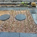 텃골2 농장 이미지