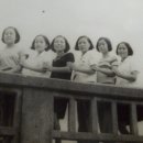 성원목장 이미지