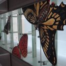 나비야함평가자 이미지