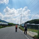 남면행정복지센터 이미지