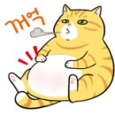 카젠용곡점 이미지