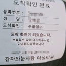주식회사 웰튼메디플렉스 | 시험관 신선 1차 난자 채취부터 이식까지 ④ (채취 당일/주의사항/비용/후기)