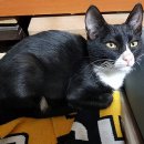 경민주유소 이미지