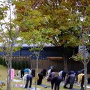 마음챙김 요가&명상 이미지