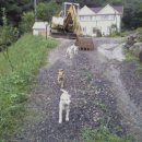 은덕농장 이미지