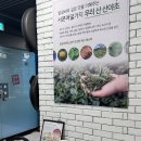 땅땅치킨(화정점) | [닭갈비제작소 화정점] 화정역 닭갈비 맛집 만족도 1위였던 닭갈비제작소 솔직 방문후기