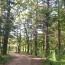 영장1리 이미지