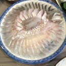 죽도수산 네이버블로그