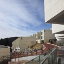 인피니티 | 영덕 숙소 파나크 바이 소노 슈페리어 파셜오션 인피니티풀 내돈내산 후기