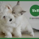 송도 클로버동물병원 이미지