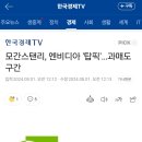 모건스탠리,엔비디아 탑픽 &#39;과매도 구간&#39; 이미지