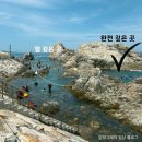 GS25온수동진점 | 강원도 삼척 장호항 성수기 평일 스노클링 후기 (주차, 샤워, 평상, 꿀팁)