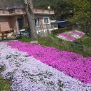 우리농장 이미지