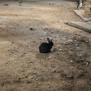 세븐일레븐 원주구곡행복점 | 2025년 8월의 일상