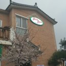 포코포코(POCO POCO) 이미지