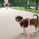 동이수산 이미지