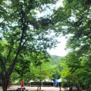 여주-0216 이미지