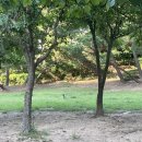 도원근린공원 이미지