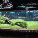 아쿠아가든카페 양재점 이미지