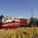 구만리농장 이미지