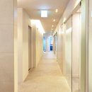 미하이의원 이미지