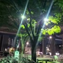 성내천로 이미지