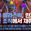 미세 플라스틱 암 위험 연구 결과 이미지