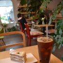 커피블러썸(coffee blossom) 이미지