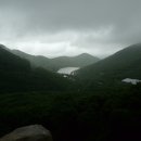완도수목원 이미지