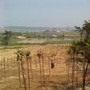 변산농장 이미지