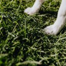 리멤버파크 이미지