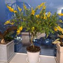 주공당구클럽 이미지