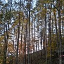 청학동(도인촌) 이미지