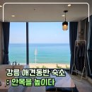 로망펫 | 강릉 애견동반 숙소 안목해변 오션뷰 펜션 : 안목을 높이다 후기