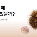 밤까기 차음 시작했어 바로 반사감 !! 이미지