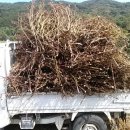 대유농산 - 용인시 처인구 원양로333번길 57-13 | 대유농산