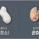 최고복집 네이버블로그
