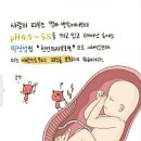 언니뷰티 이미지