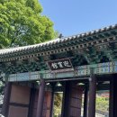 [서울신라호텔] 서울 호캉스 디럭스룸 남산뷰 객실 후기 셔틀타는 곳(feat.패스트리 부티크 몽블랑 케익)