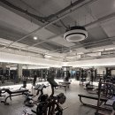 이룸 피티 존 | 장유 율하 헬스장, 숨겨진 운동 잠재력을 깨우는 방법